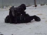 Превью фото № 170160