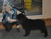 Превью фото № 170211