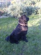 Превью фото № 170277