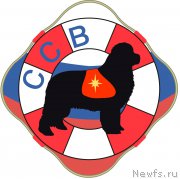 Превью фото № 170287