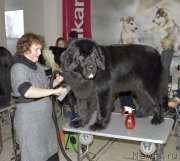 Превью фото № 170288