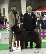 Превью фото № 170291