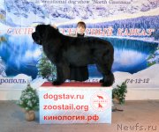 Превью фото № 170306