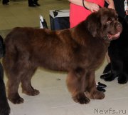 Превью фото № 170413