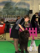 Превью фото № 170415