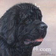 Превью фото № 170628