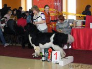 Превью фото № 170644