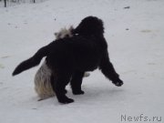 Превью фото № 170653