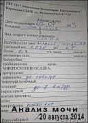 Превью фото № 170656