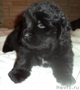 Превью фото № 170666