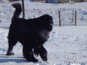 Превью фото № 170704