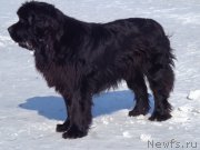 Превью фото № 170706