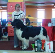 Превью фото № 170723