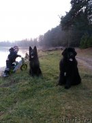 Превью фото № 170747