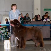 Превью фото № 170771