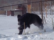 Превью фото № 170781