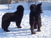 Превью фото № 170783