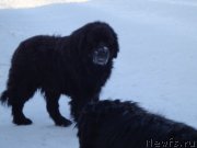 Превью фото № 170784