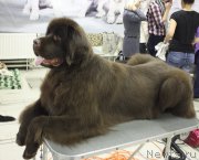 Превью фото № 170806