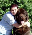 Превью фото № 17084