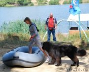 Превью фото № 170864