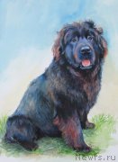 Превью фото № 170881