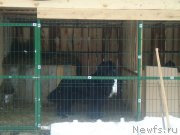 Превью фото № 170930