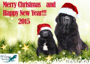 Превью фото № 171022