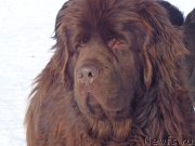 Превью фото № 171097