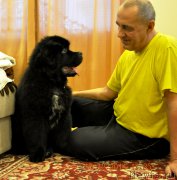 Превью фото № 171162