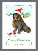 Превью фото № 171163