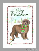 Превью фото № 171165