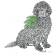 Превью фото № 171182