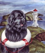 Превью фото № 171200