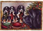 Превью фото № 171204