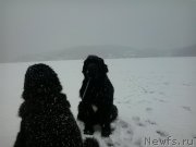 Превью фото № 171295