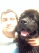 Превью фото № 171313