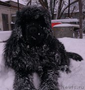 Превью фото № 171439