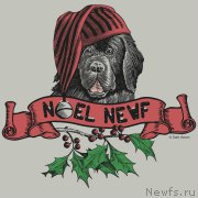 Превью фото № 171457