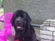 Превью фото № 171465