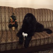 Превью фото № 171479