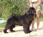 Превью фото № 17148