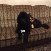 Превью фото № 171480