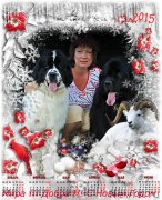 Превью фото № 171483