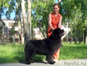 Превью фото № 171496