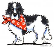 Превью фото № 171527