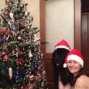 Превью фото № 171575