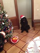 Превью фото № 171580