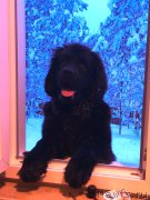 Превью фото № 171584