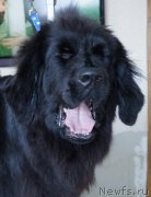 Превью фото № 171587